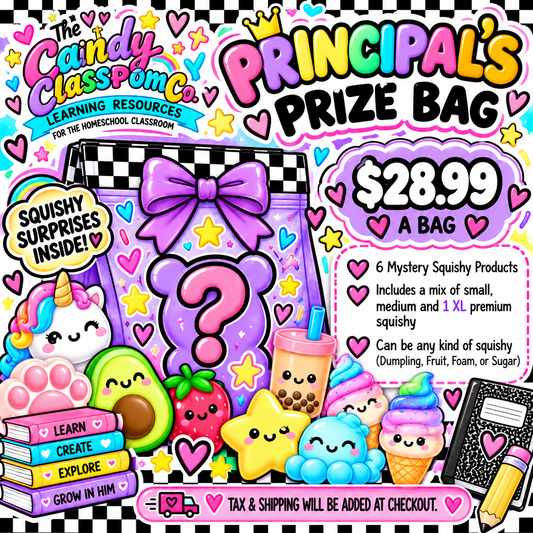 Principal's Mystery Bag