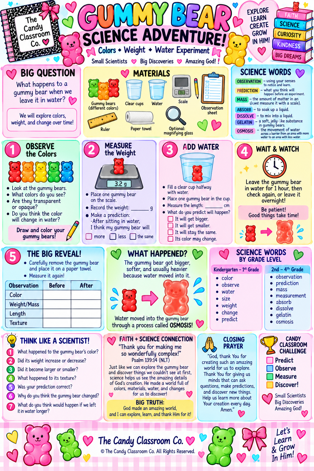 Gummy Bear Science Adventure Pack