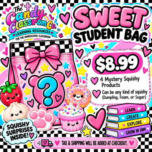 Sweet Student Mystery Bag